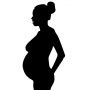 pregnant-woman-1741635_640