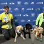 Marathon with guide dogs